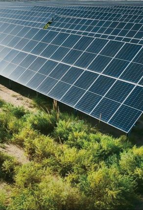 Close-up of solar panels